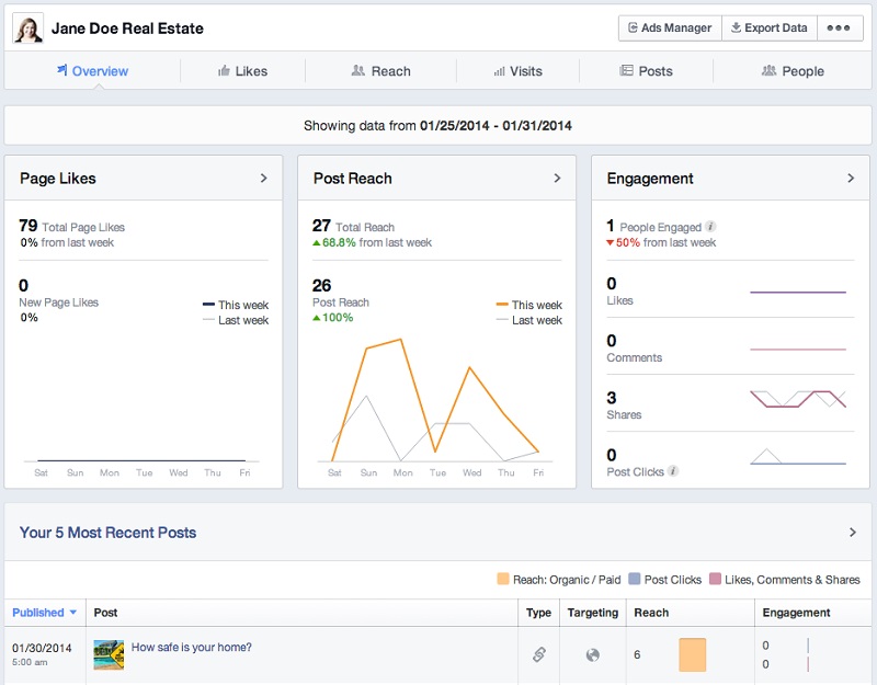Real Estate Facebook Page Insights